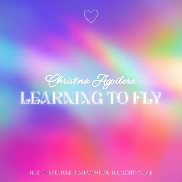 Learning To Fly cover