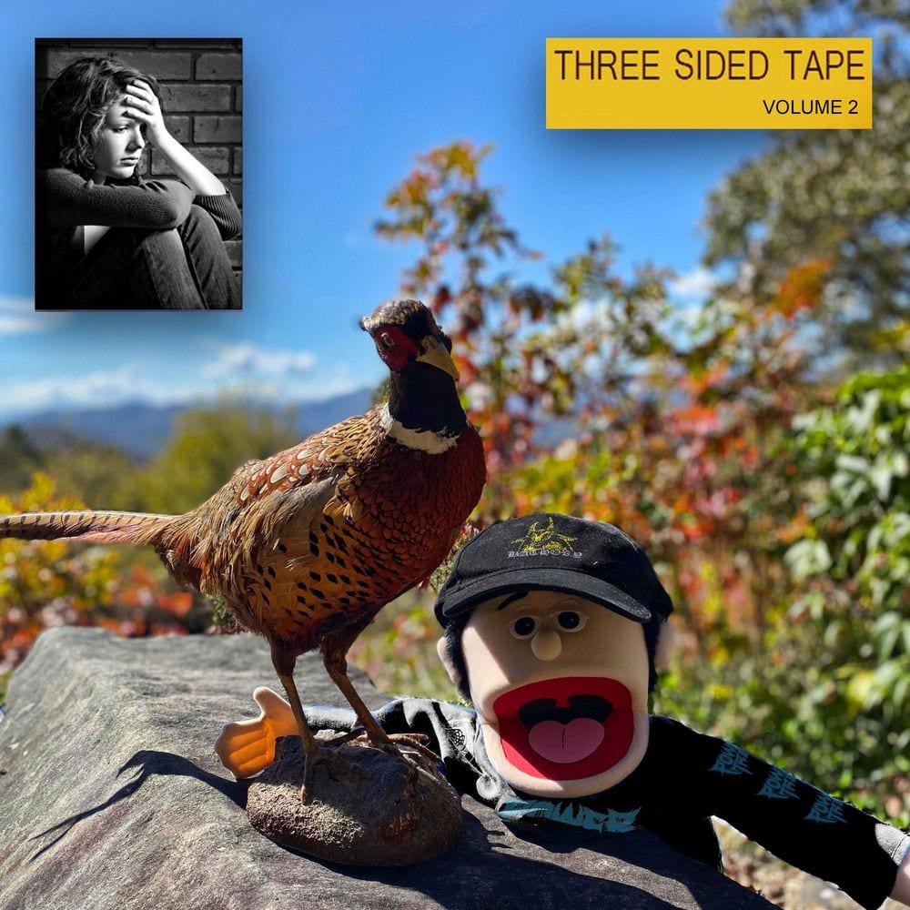 Three Sided Tape Volume TWO cover