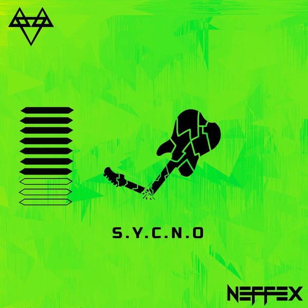 SOMETHING YOU COULD NEVER OWN cover