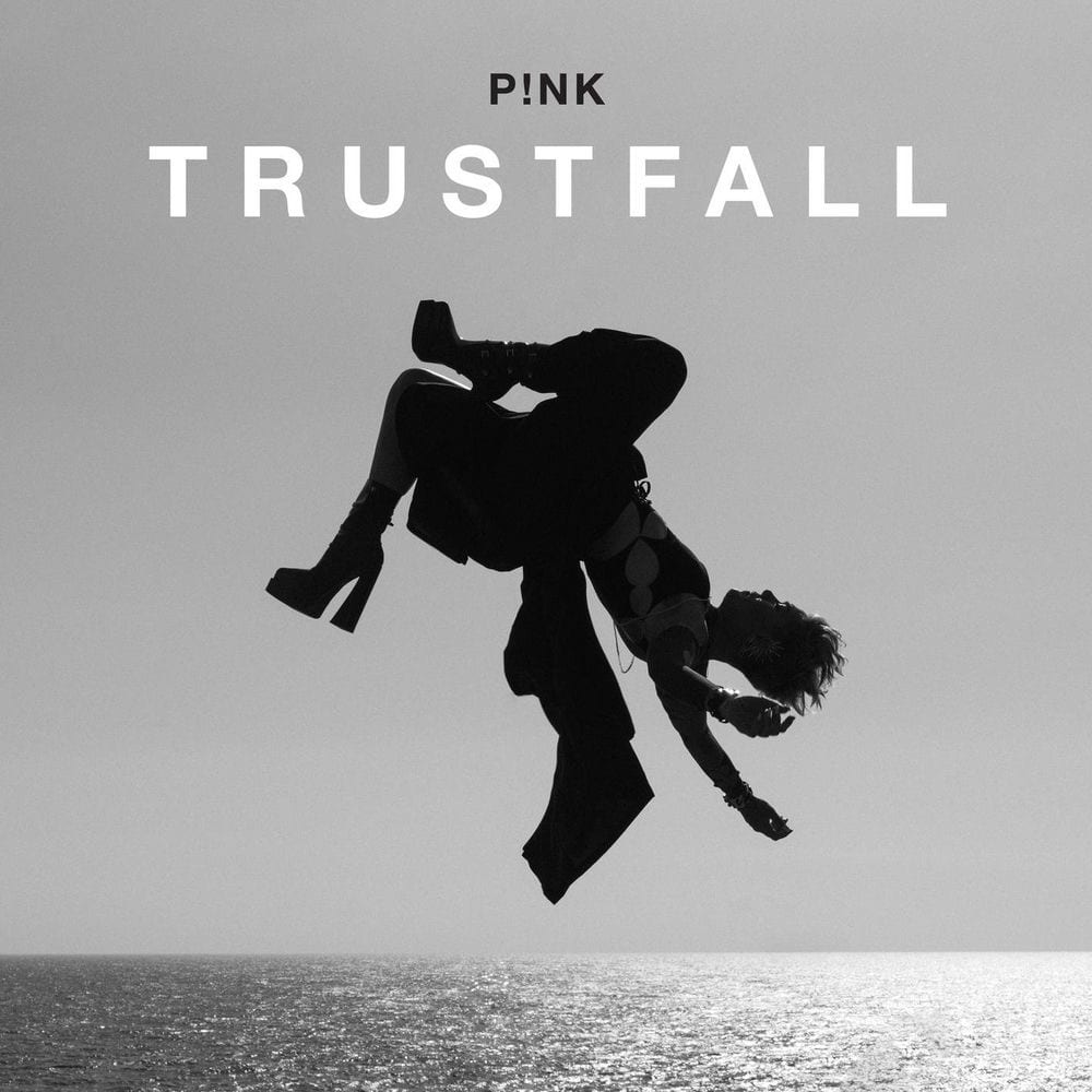 TRUSTFALL cover
