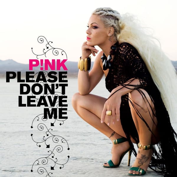 Please Don't Leave Me cover