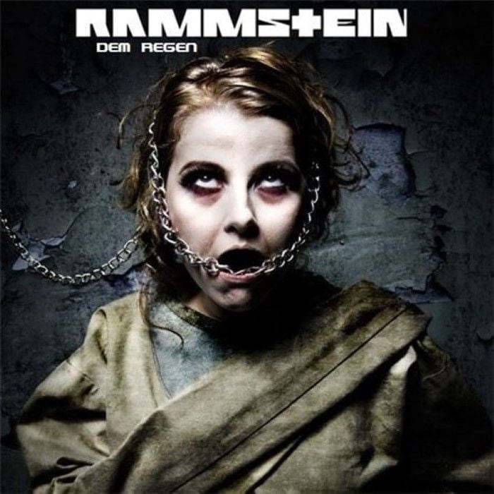 Dem Regen cover