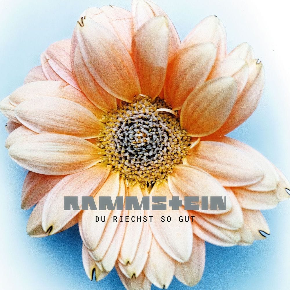Du riechst so gut cover