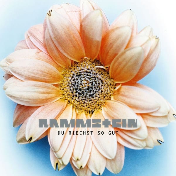 Du riechst so gut cover
