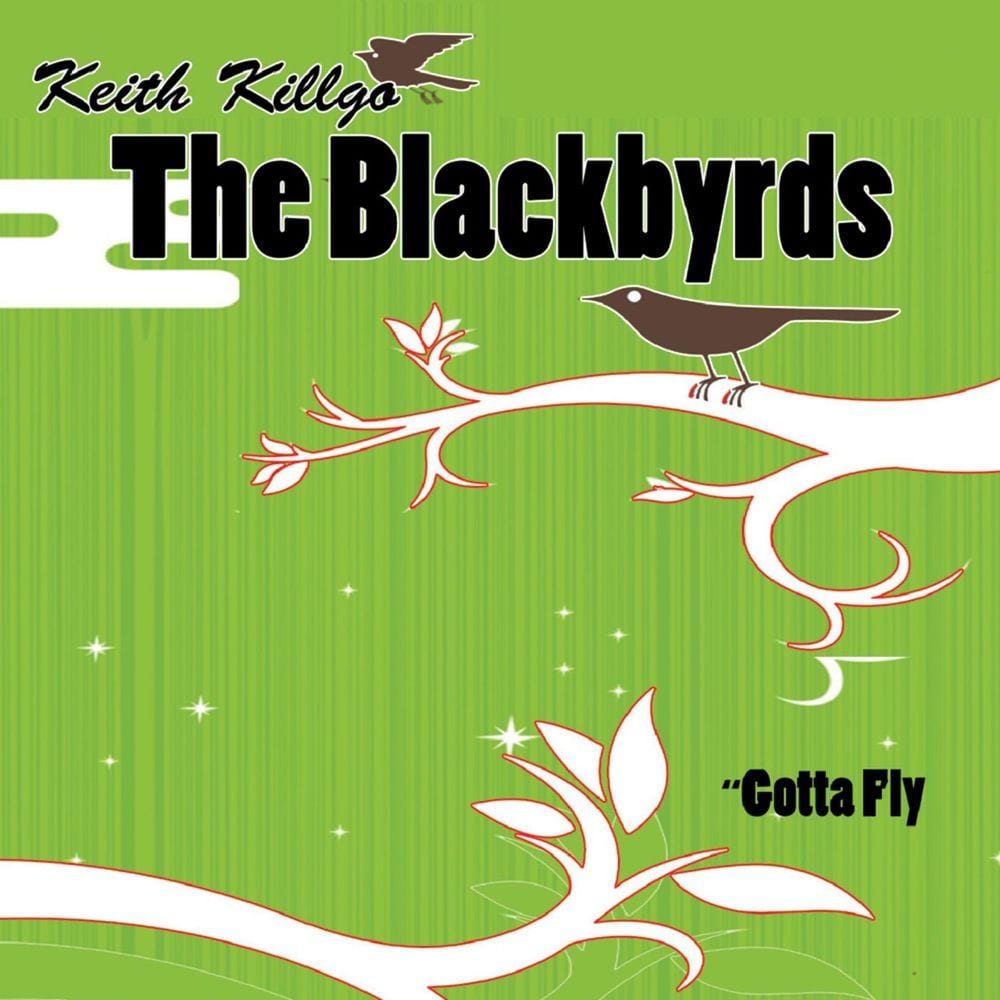 Gotta Fly cover