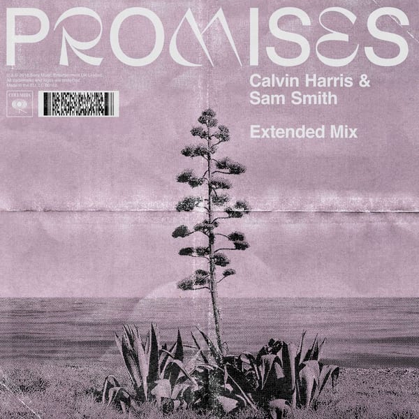 Promises (Extended Mix) cover