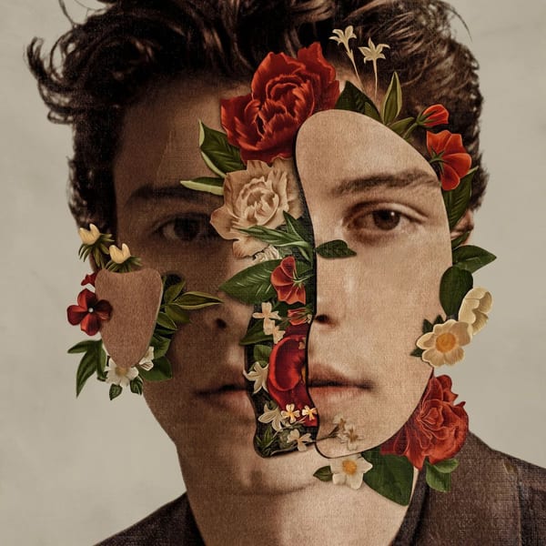 Shawn Mendes cover