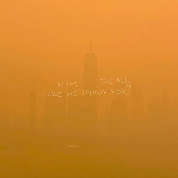 WHAT THE HELL ARE WE DYING FOR ? cover