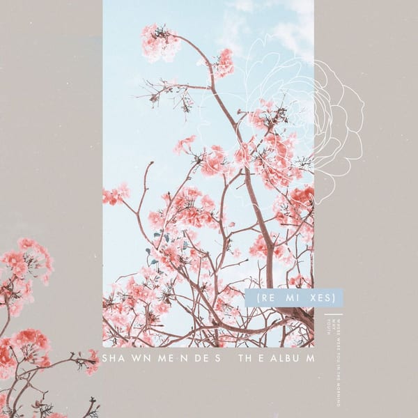 The Album (Remixes) cover