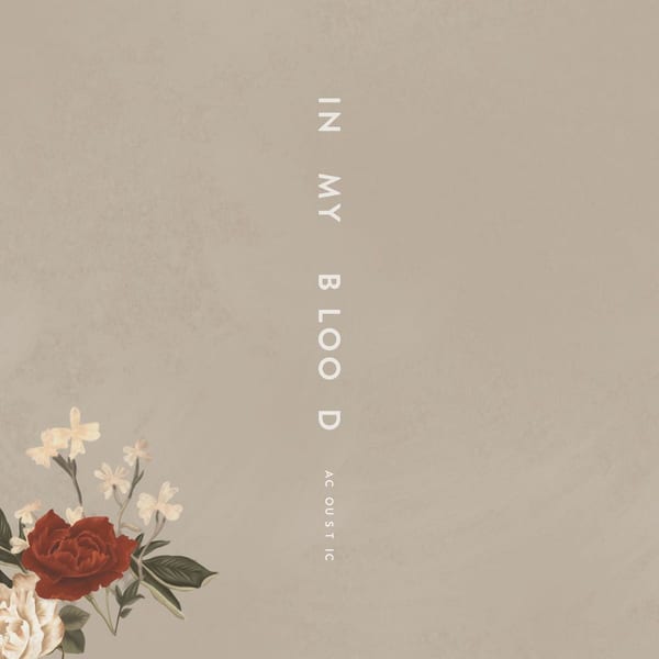 In My Blood (Acoustic) cover