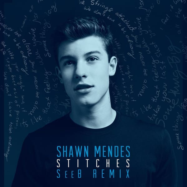 Stitches (Seeb Remix) cover