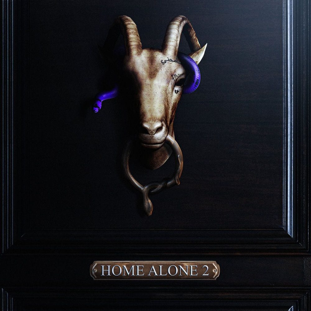 Home Alone 2 cover