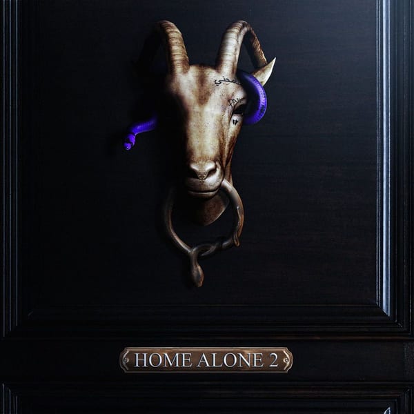 Home Alone 2 cover