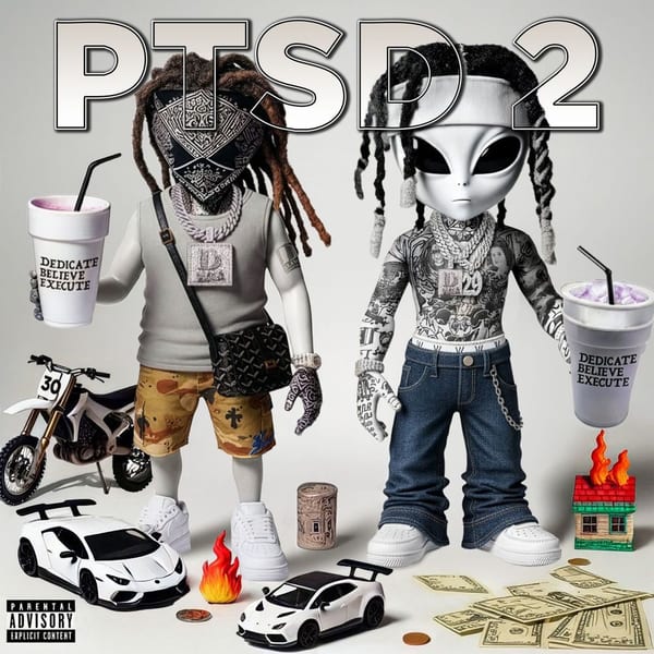 PTSD 2 cover