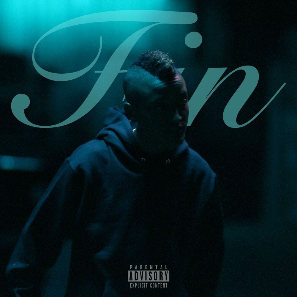 Fin cover