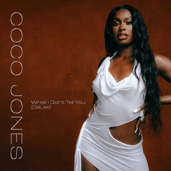 What I Didn't Tell You cover