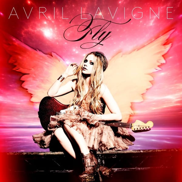 Fly cover