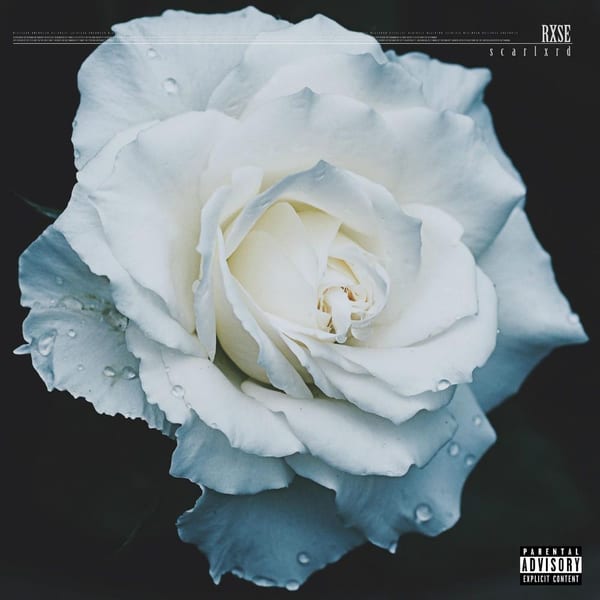 Rxse cover