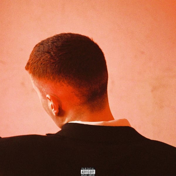 Permanent Damage cover