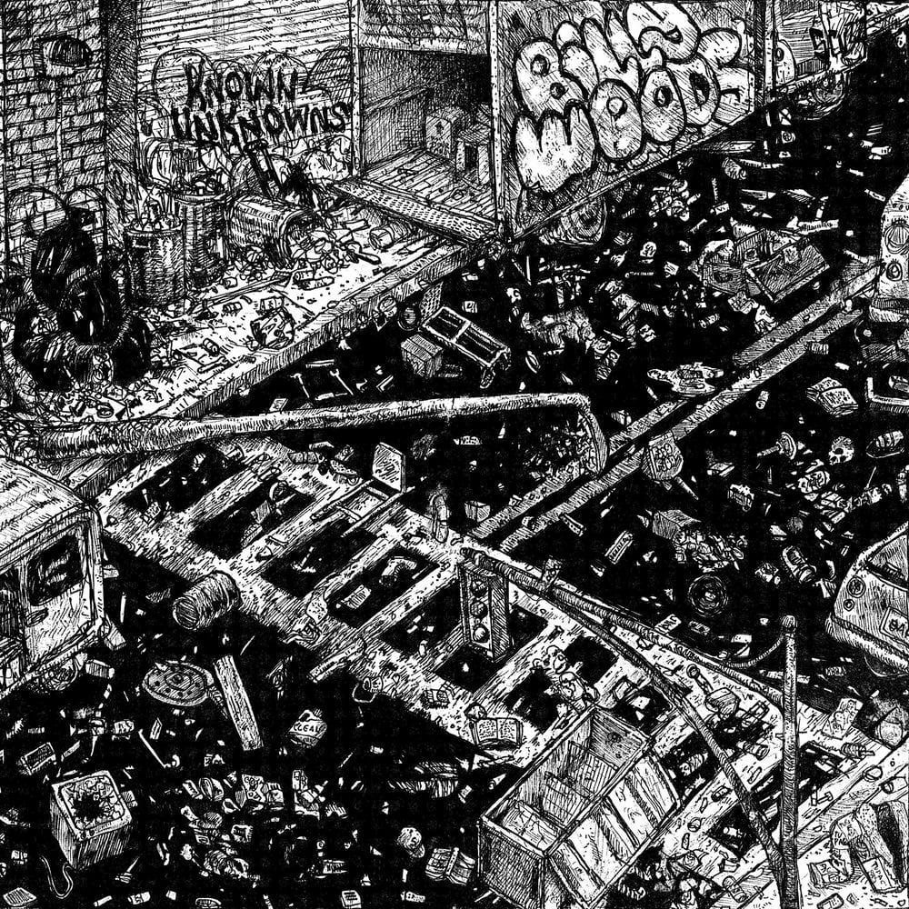 Known Unknowns cover