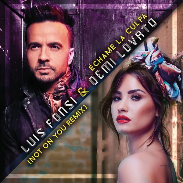 Échame La Culpa (Not On You Remix) cover