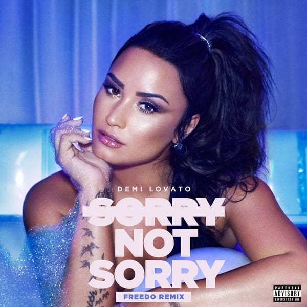 Sorry Not Sorry (Freedo Remix) album cover