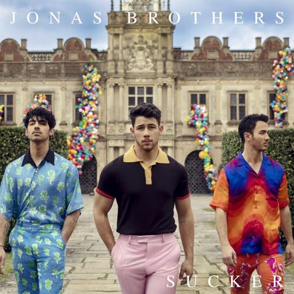 Sucker cover