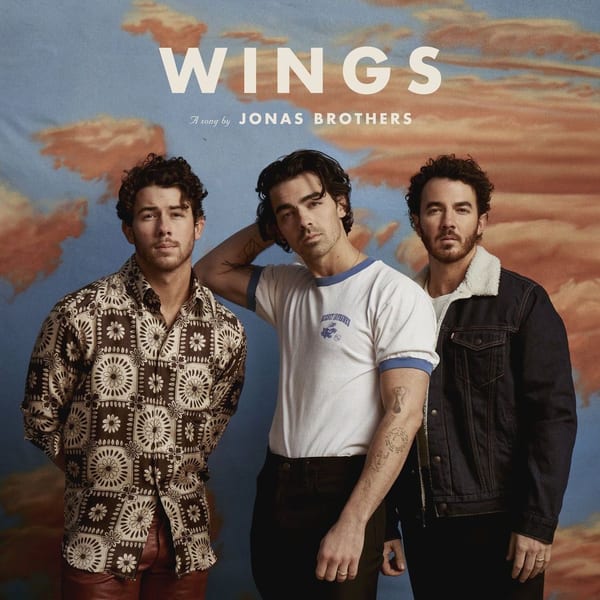 Wings cover