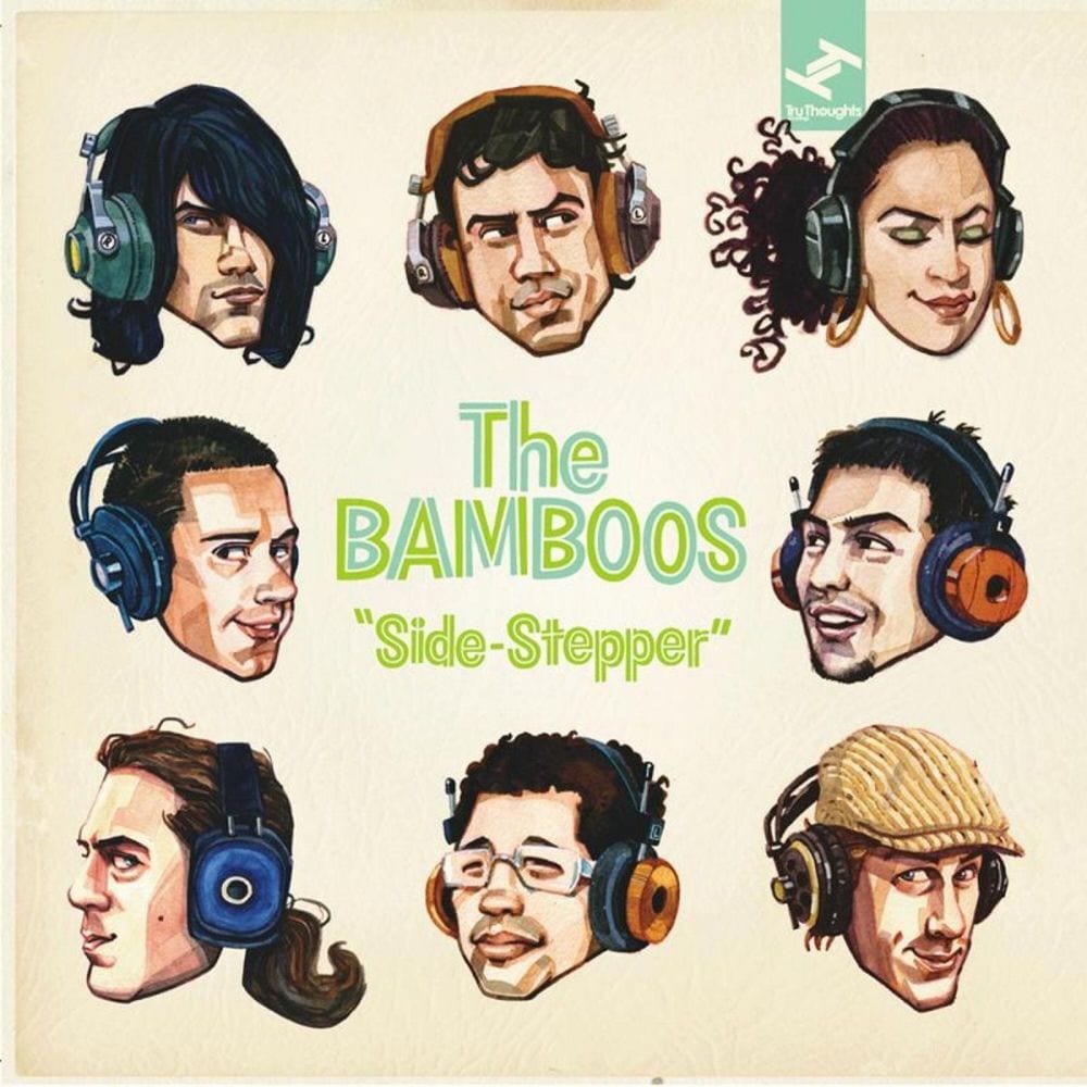 Side-Stepper cover