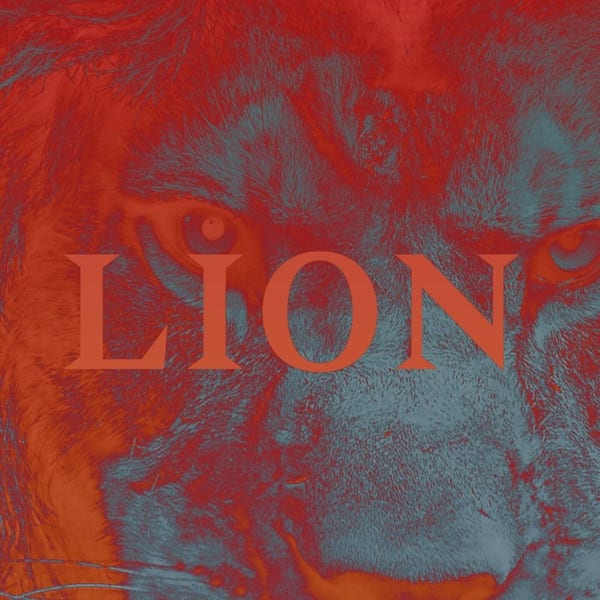 Lion cover
