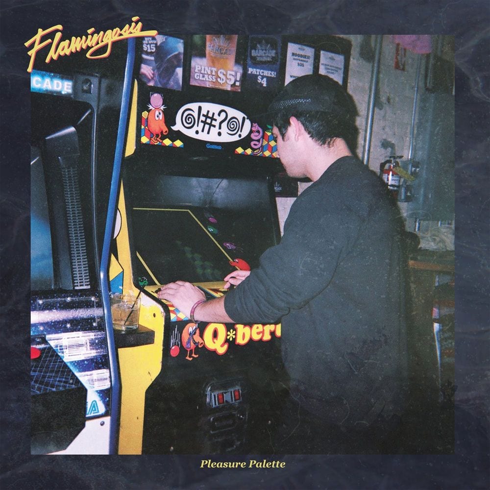 Pleasure Palette cover