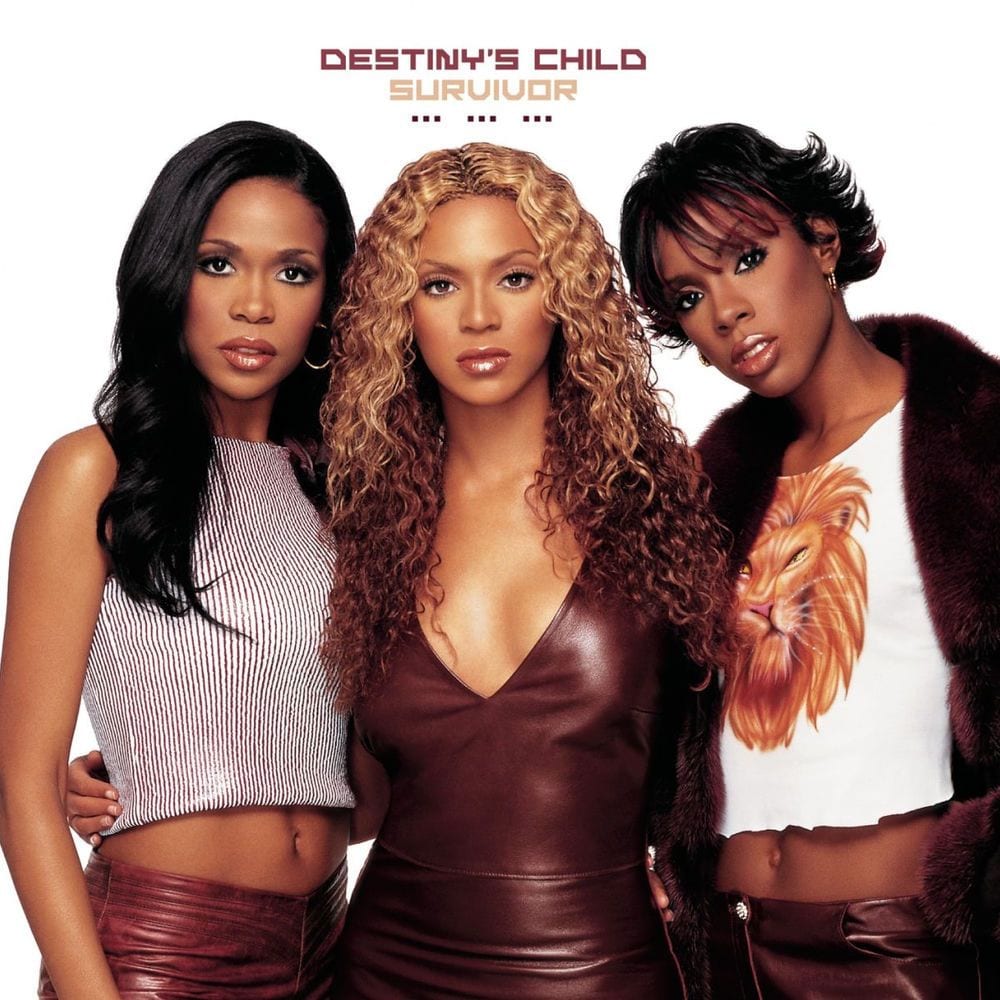 Survivor cover