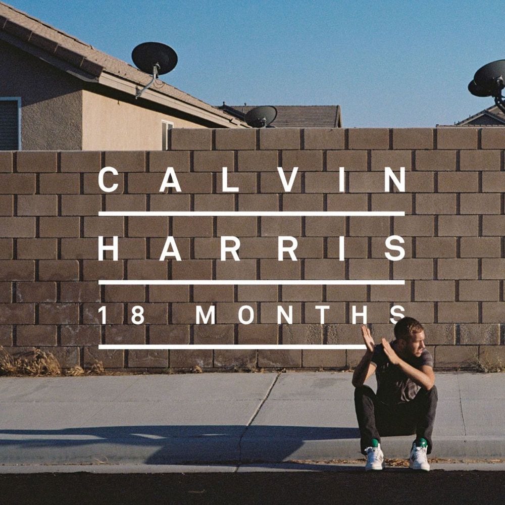 18 Months cover