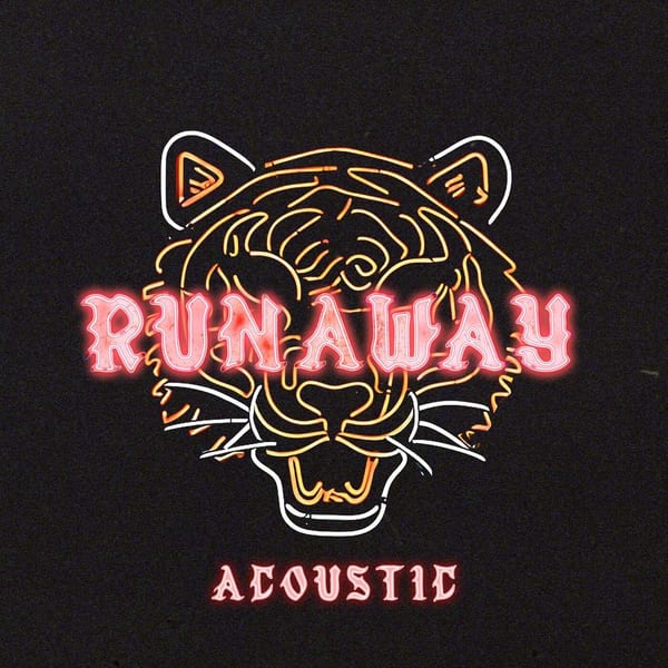 RUNAWAY (Acoustic) cover