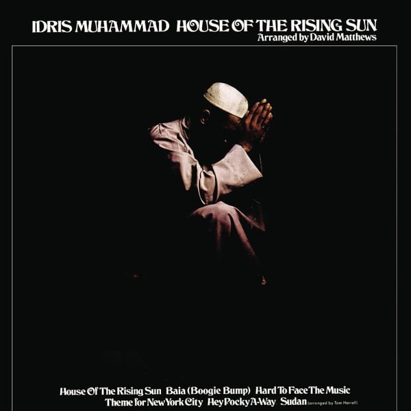 House of the Rising Sun cover