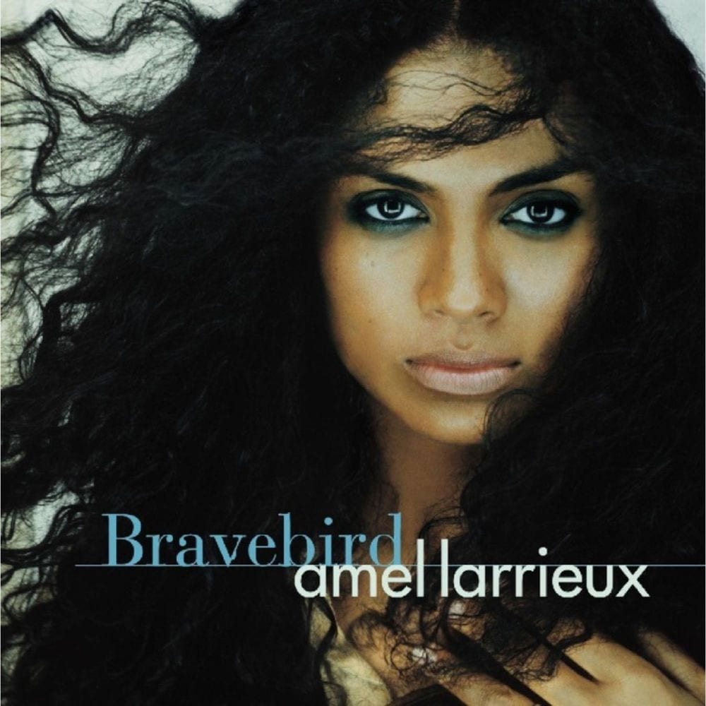 Bravebird cover
