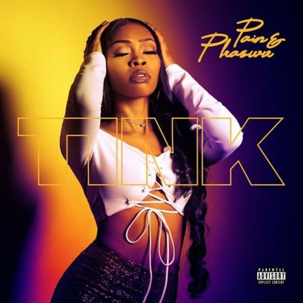 Pain & Pleasure cover