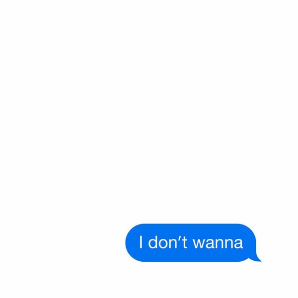 I Don't Wanna cover