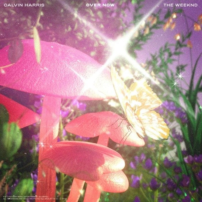 Over Now cover