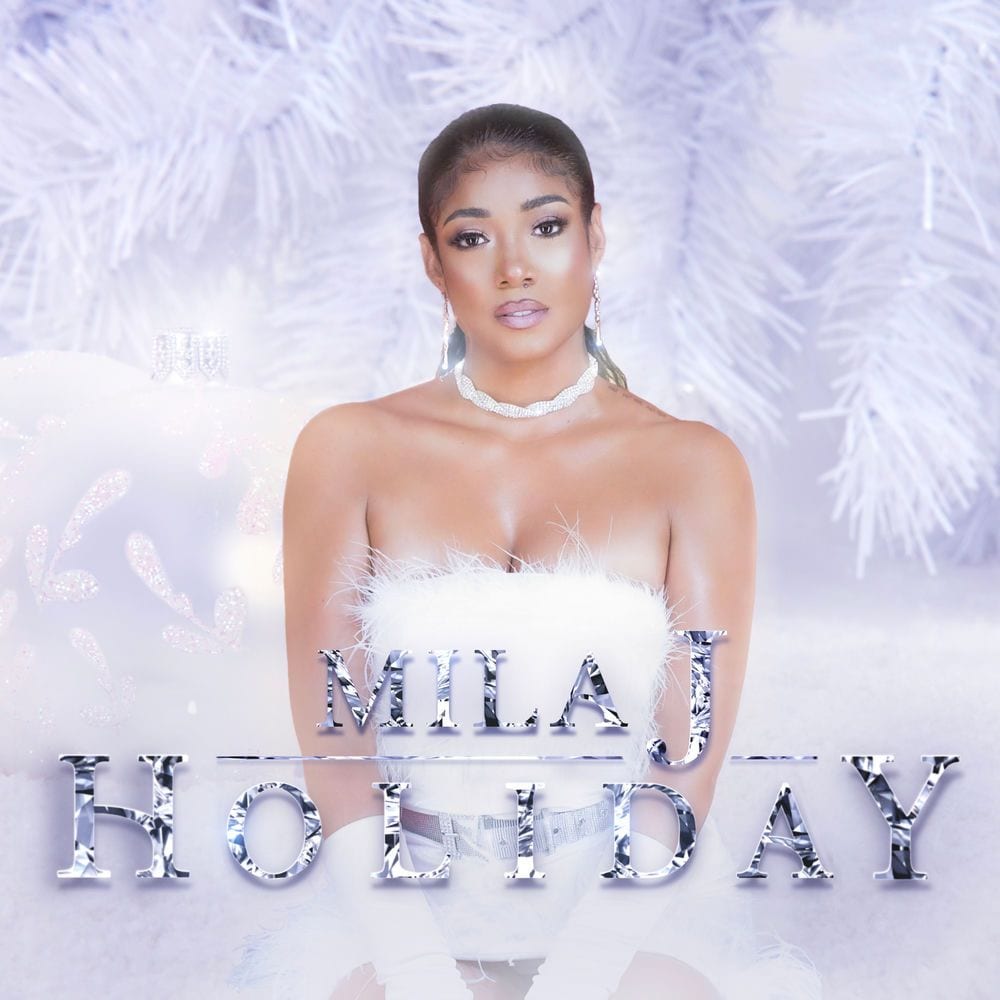 Holiday cover