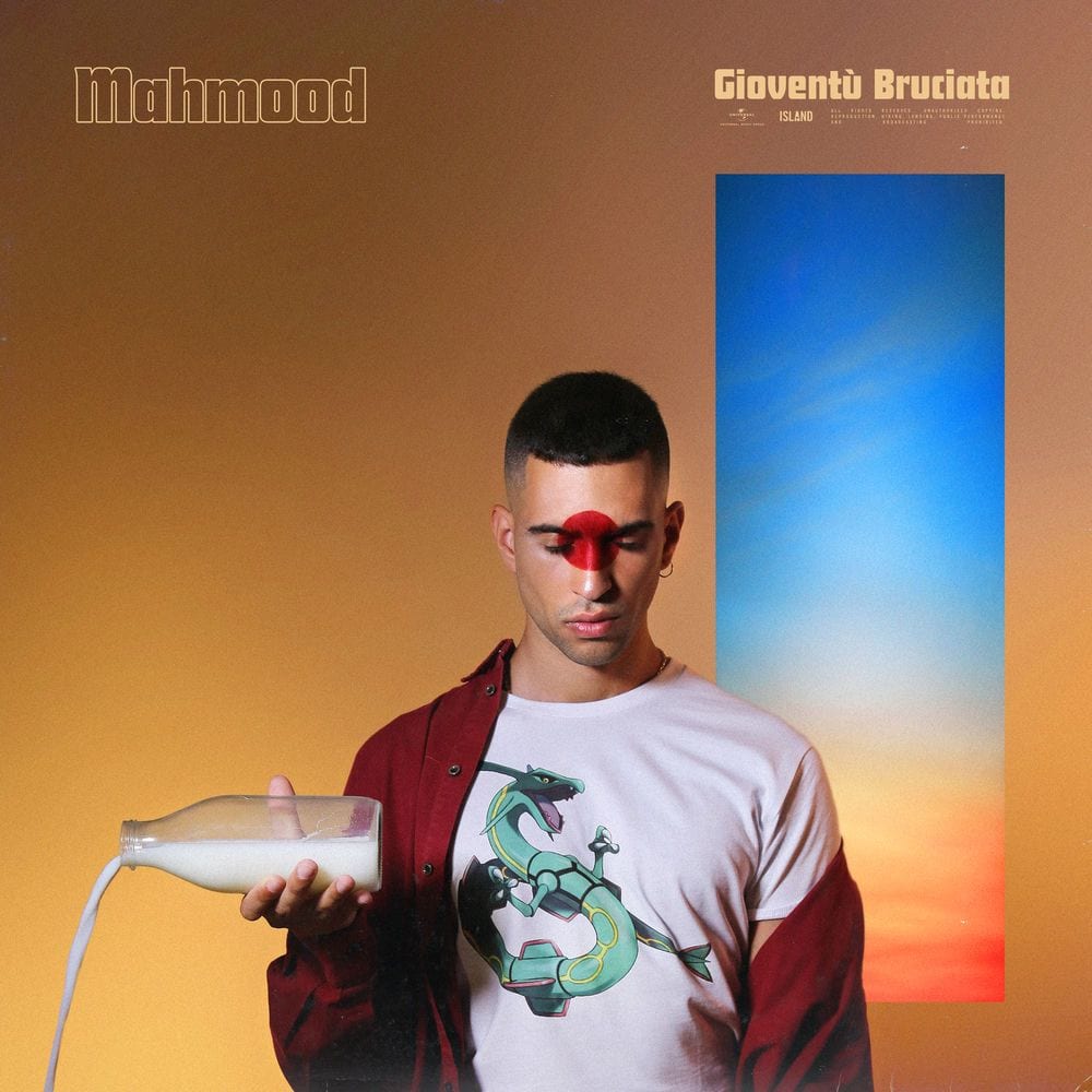 Gioventù bruciata cover