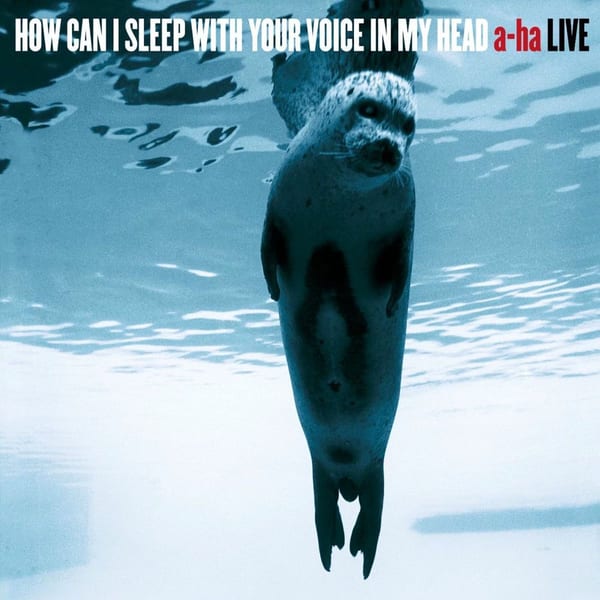How Can I Sleep With Your Voice in My Head cover