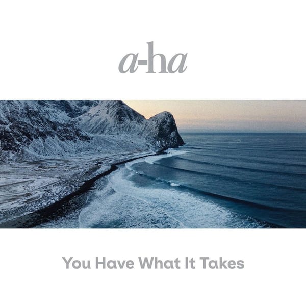 You Have What It Takes cover