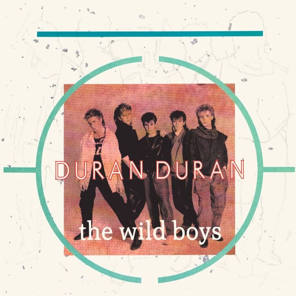 The Wild Boys cover