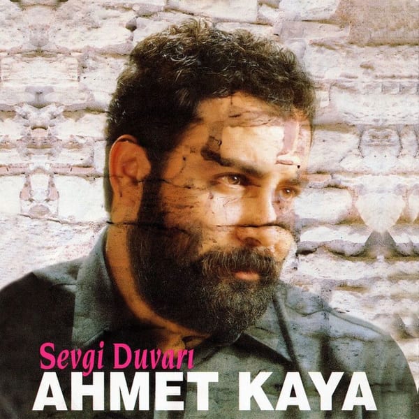Sevgi Duvarı cover