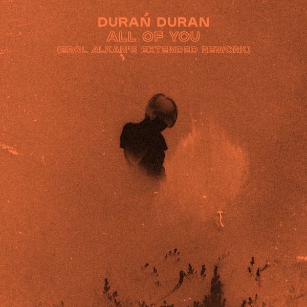 ALL OF YOU (Erol Alkan's Extended Rework) cover
