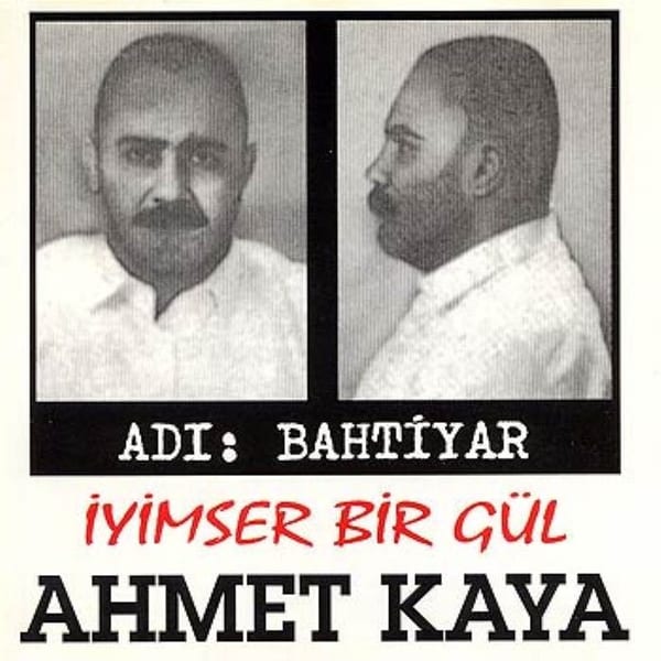 İyimser Bir Gül cover