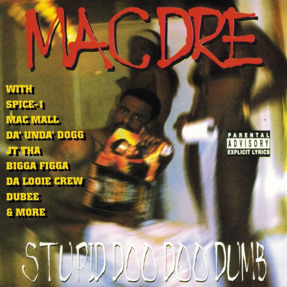 Stupid Doo Doo Dumb cover