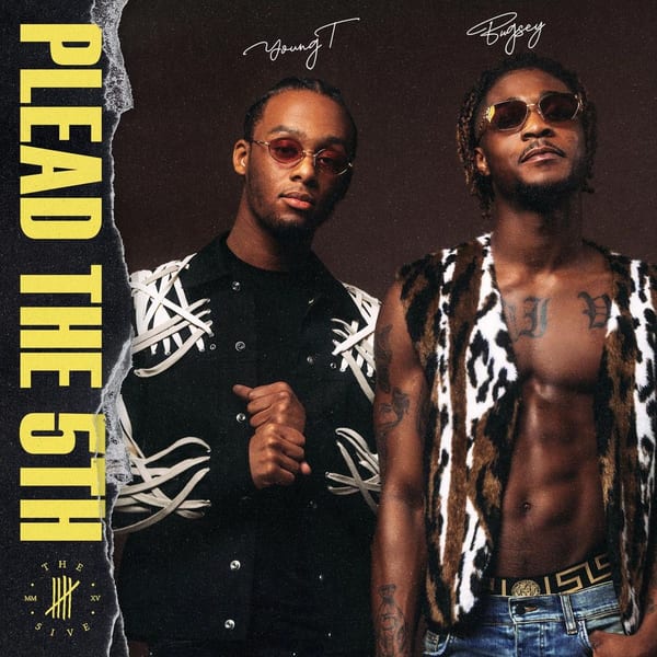 Plead the 5th cover