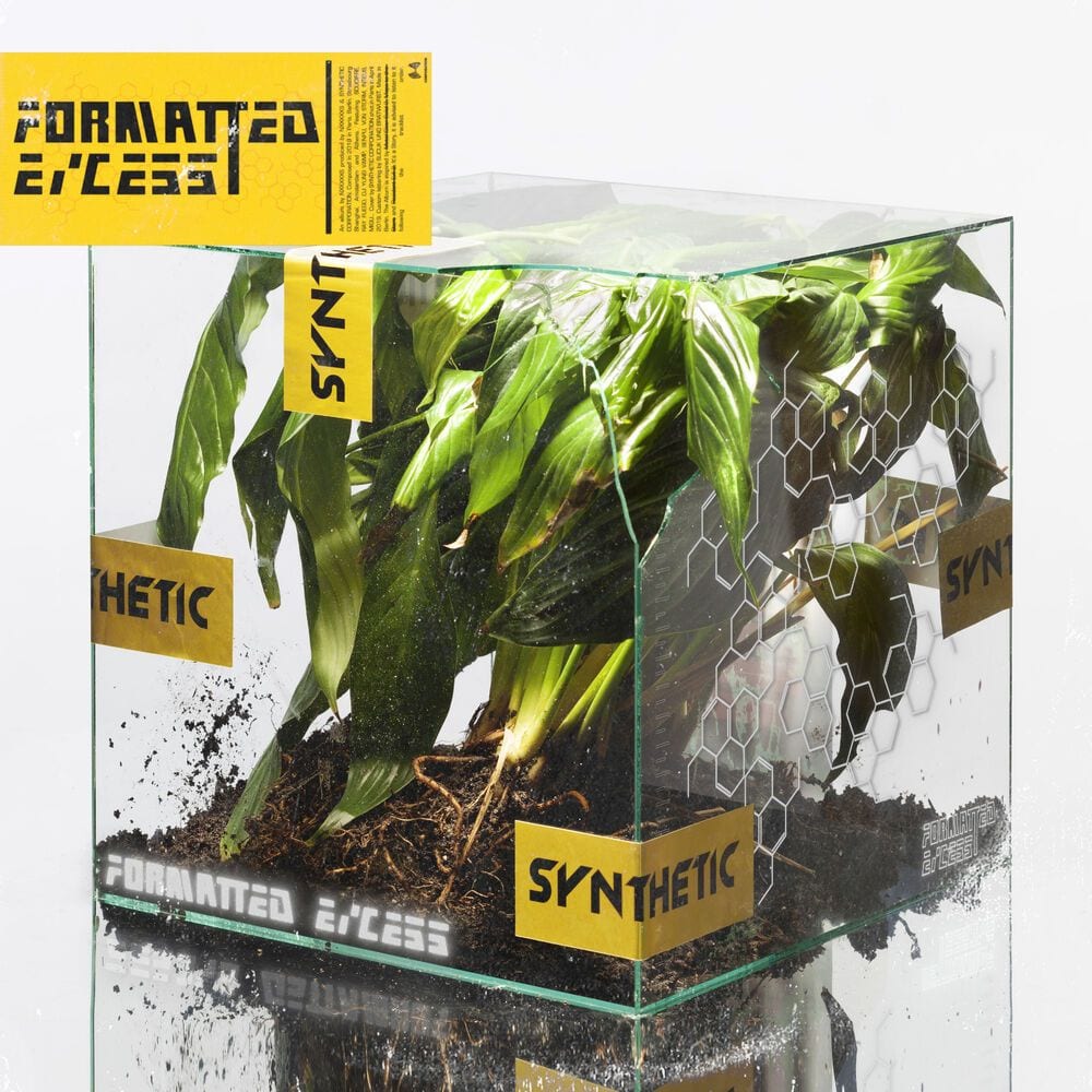 Formatted Excess cover
